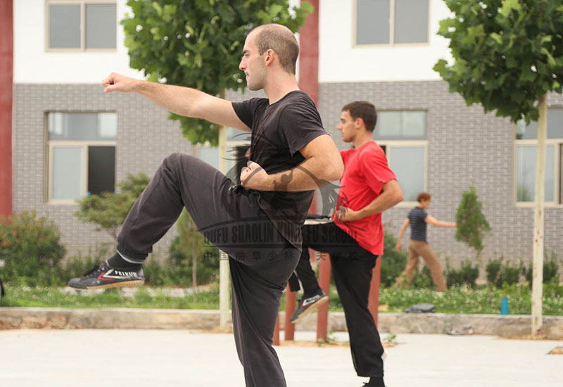 Shaolin Kung Fu Punch