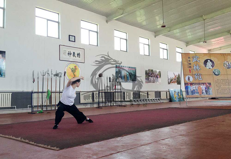 kung fu student performing