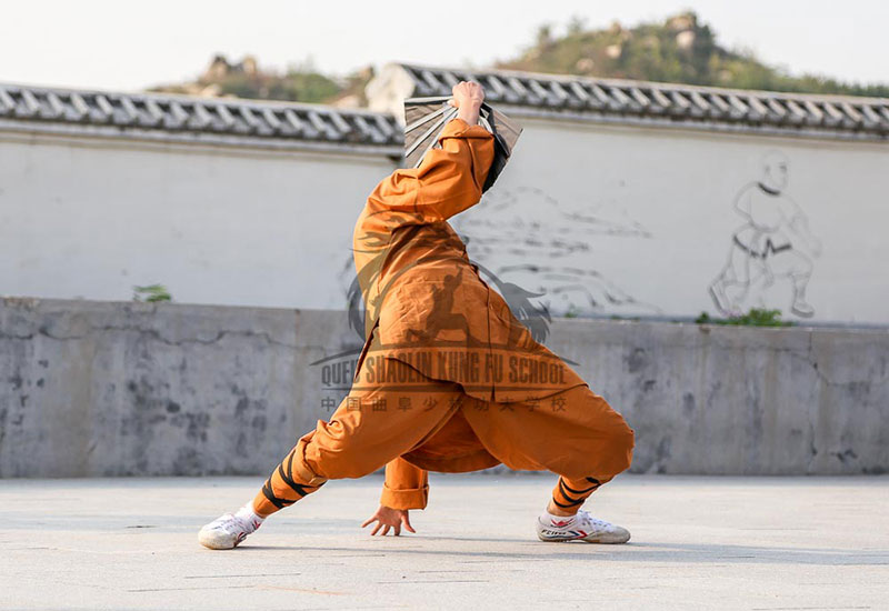 kung fu student training